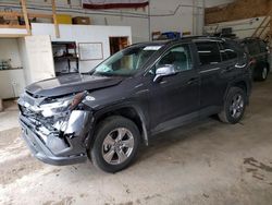 Toyota salvage cars for sale: 2023 Toyota Rav4 XLE