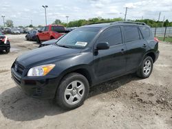 Salvage cars for sale at Indianapolis, IN auction: 2012 Toyota Rav4
