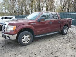 Vehiculos salvage en venta de Copart Candia, NH: 2009 Ford F150 Supercrew