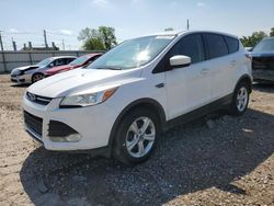 Salvage cars for sale at Lansing, MI auction: 2013 Ford Escape SE