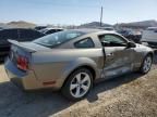 2005 Ford Mustang