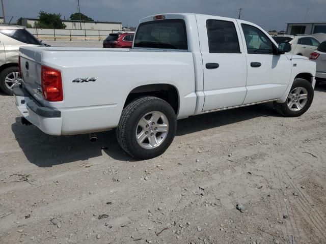 2011 Dodge Dakota SLT