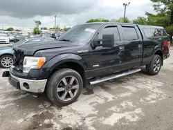Salvage cars for sale from Copart -no: 2013 Ford F150 Supercrew