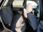 2007 Ford Escape XLT