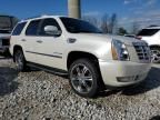 2010 Cadillac Escalade Luxury