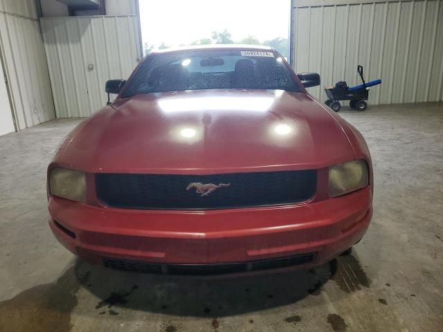 2005 Ford Mustang