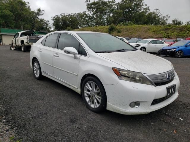 2010 Lexus HS 250H