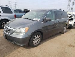 Salvage cars for sale at Elgin, IL auction: 2008 Honda Odyssey EXL