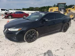 Salvage cars for sale at New Braunfels, TX auction: 2019 Nissan Maxima S