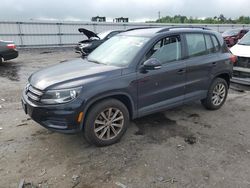 Salvage cars for sale from Copart Fredericksburg, VA: 2017 Volkswagen Tiguan S