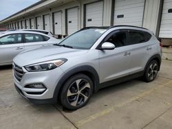 Salvage cars for sale at Louisville, KY auction: 2016 Hyundai Tucson Limited