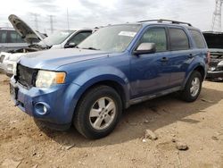 Salvage cars for sale at Elgin, IL auction: 2009 Ford Escape XLT