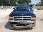 2004 Dodge Dakota Quad SLT