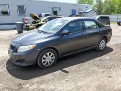 Salvage cars for sale from Copart Lyman, ME: 2009 Toyota Corolla Base