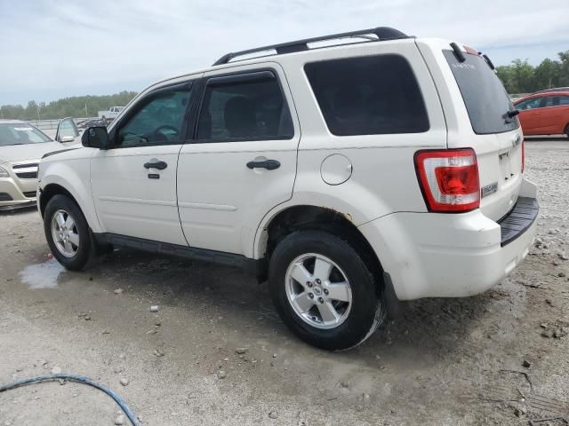 2012 Ford Escape XLT