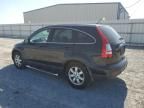 2007 Honda CR-V EX