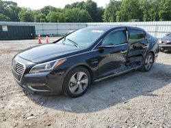 Hyundai Sonata Hybrid salvage cars for sale: 2017 Hyundai Sonata Hybrid