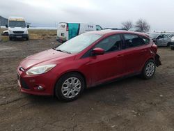 Salvage cars for sale from Copart Montreal Est, QC: 2012 Ford Focus SE