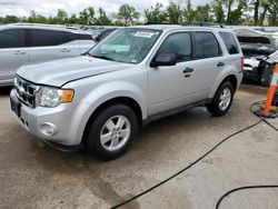 Salvage cars for sale from Copart Bridgeton, MO: 2012 Ford Escape XLT
