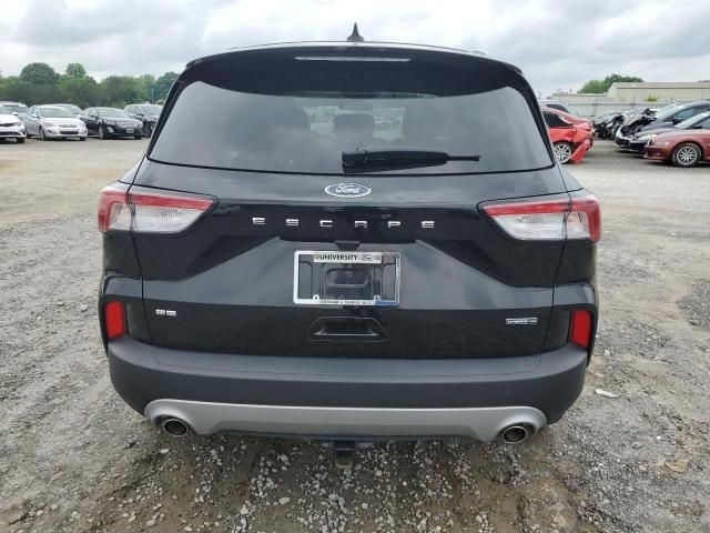 2020 Ford Escape SE Sport