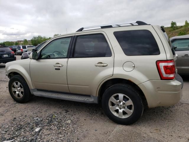 2011 Ford Escape Limited