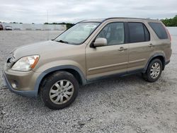 Salvage cars for sale from Copart Walton, KY: 2006 Honda CR-V SE