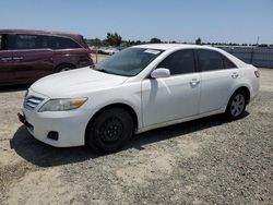 Toyota Vehiculos salvage en venta: 2010 Toyota Camry Base