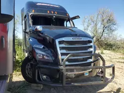 Camiones salvage sin ofertas aún a la venta en subasta: 2024 Freightliner Cascadia 126
