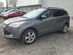 Salvage cars for sale at Blaine, MN auction: 2014 Ford Escape SE
