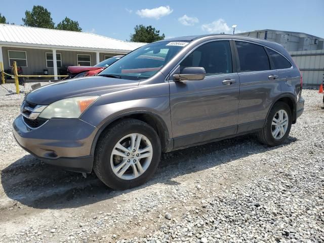 2010 Honda CR-V EXL