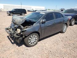 Salvage cars for sale from Copart Phoenix, AZ: 2012 Toyota Corolla Base