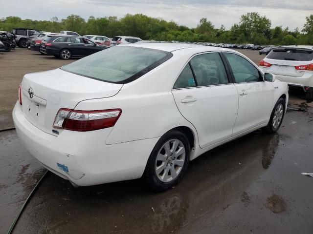 2008 Toyota Camry Hybrid