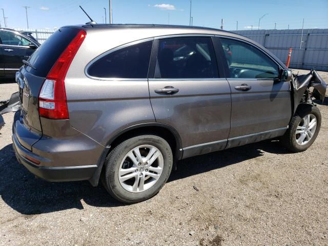 2010 Honda CR-V EXL