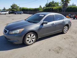 Salvage cars for sale at San Martin, CA auction: 2008 Honda Accord EXL
