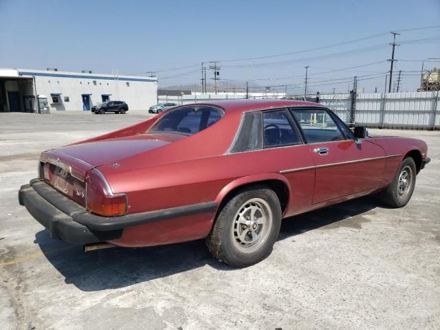 1979 Jaguar XJS