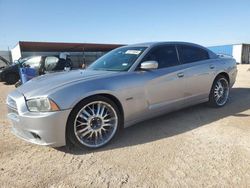 Salvage cars for sale at Andrews, TX auction: 2014 Dodge Charger R/T