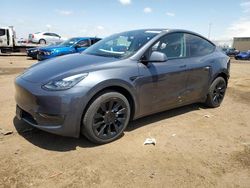 Salvage cars for sale at Brighton, CO auction: 2023 Tesla Model Y