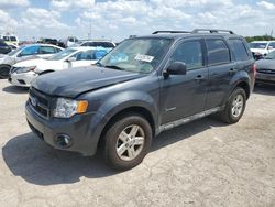 Salvage cars for sale at Indianapolis, IN auction: 2009 Ford Escape Hybrid