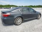 2007 Lexus LS 460