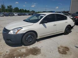 Nissan Vehiculos salvage en venta: 2011 Nissan Altima Base