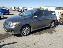 Salvage cars for sale from Copart Bakersfield, CA: 2010 Toyota Corolla Base