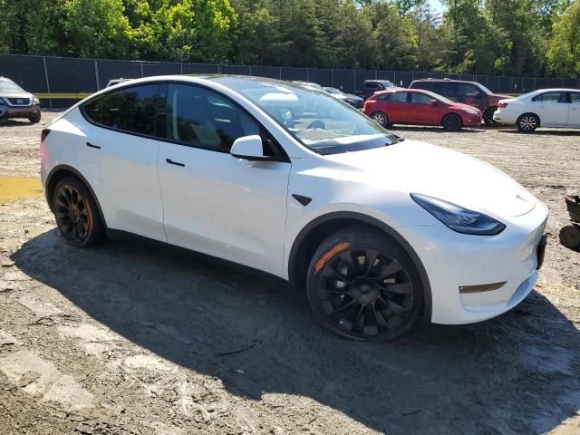 2021 Tesla Model Y