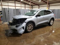 Salvage cars for sale at Pennsburg, PA auction: 2022 Ford Escape SE