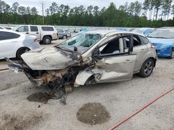 Salvage cars for sale at Harleyville, SC auction: 2016 Ford Focus SE