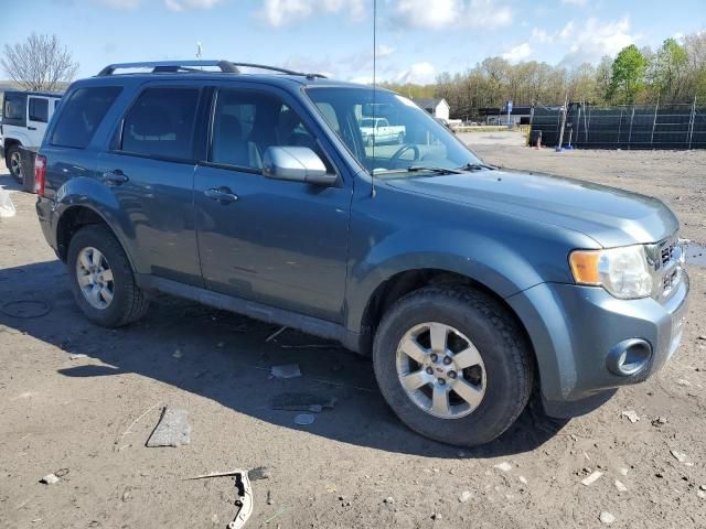 2010 Ford Escape Limited