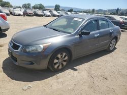 Salvage cars for sale at San Martin, CA auction: 2008 Honda Accord EXL