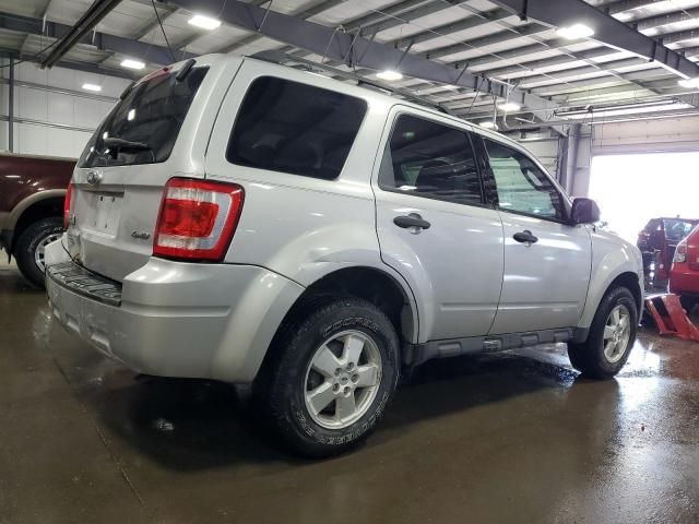 2009 Ford Escape XLT