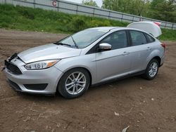 Ford Focus se Vehiculos salvage en venta: 2017 Ford Focus SE