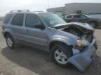 2007 Ford Escape HEV