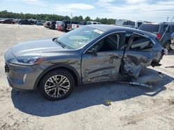 Salvage cars for sale at Jacksonville, FL auction: 2022 Ford Escape SEL